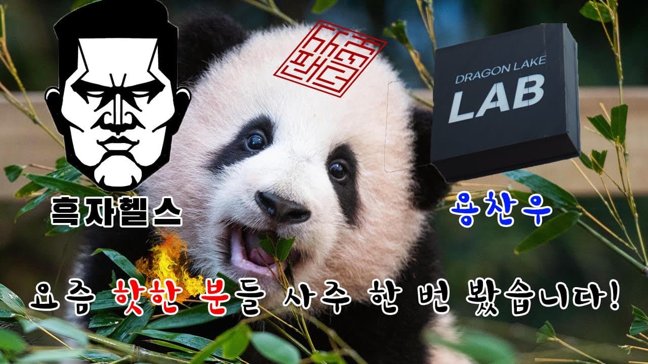 용찬우 흑자헬스 사주풀이 + 예측